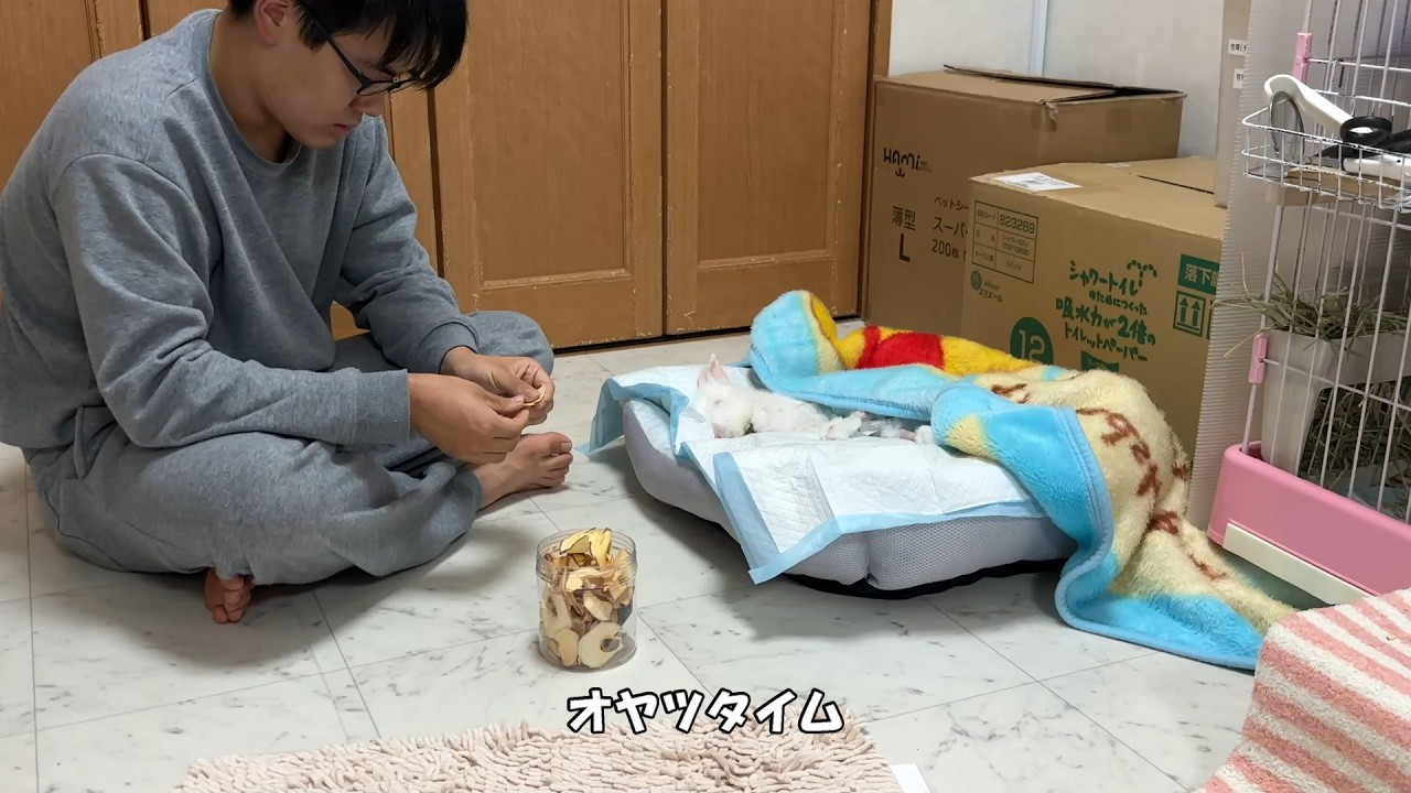 【介護うさぎ】息子からオヤツをもらい幸せな時間