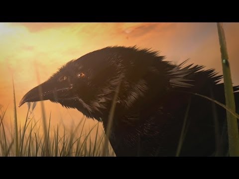 Warcraft III Cinematic-Intro