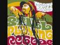 Marty Dread - "Peaceful Solution" (feat. Willie Nelson & Mad Professor), Still Playing Reggae (2009)