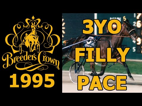 1995 Breeders Crown - Headline Hanover - 3YO Filly Pace