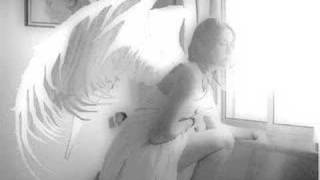 Angel in Disguise~Pillar