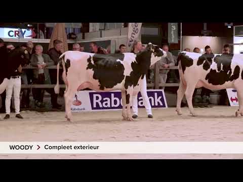 Willem's-Hoeve Woody (HHH show 2023)