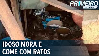 Idoso divide barraco e comida com ratos em Belém | Primeiro Impacto (05/02/21)