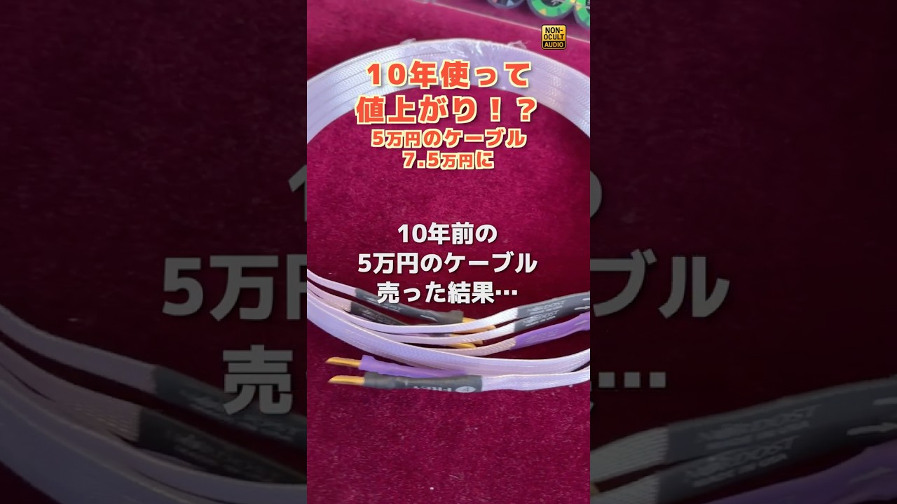 中古5万円のスピーカーケーブル、10年後に売ってみた結果！？
