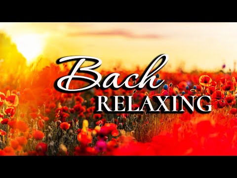 The Best Relaxing Classical Music Ever By Bach - Relaxation Meditation, Focus, Reading... ✨