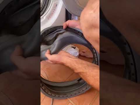 ΜΟΥΧΛΑ στο λάστιχο πλυντηρίου 😬 #homehomiehome #καθαριότητα