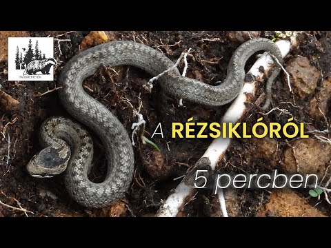 Rézsikló