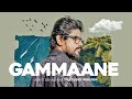 Gammaane ADK Hirushi Sahan Video