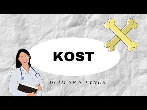 KOST - Vše co potřebujete vědět