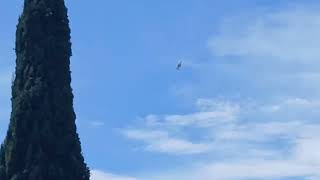 Military helicopter flying over Chula Vista 