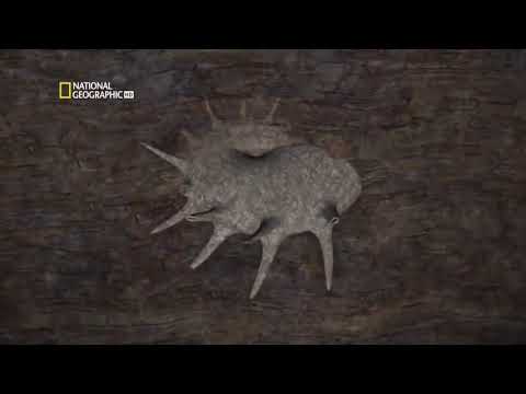 The Core of The Earth Documentary