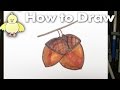 How To Draw Easy Acorns