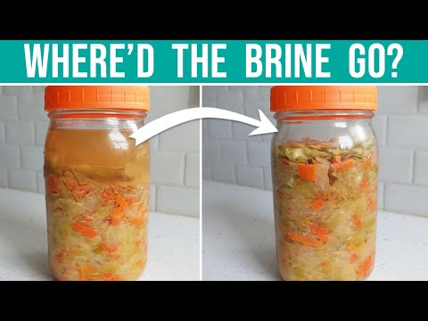 DISAPPEARING SAUERKRAUT BRINE - What NOT to do!