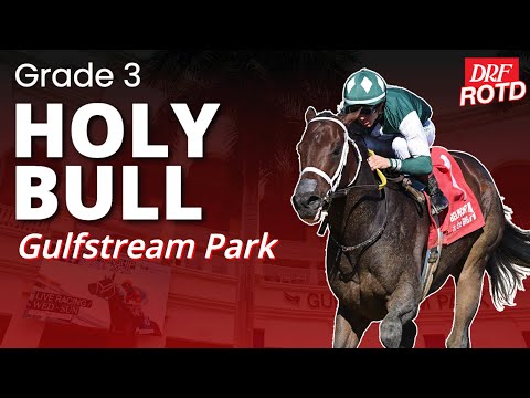 G3 Holy Bull @ Gulfstream Park  DRF Saturday ROTD