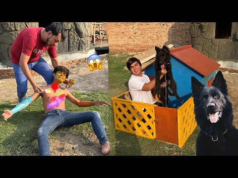 German Shepherd Ko Surprise Dea 😍 Mamu Ny Subhan Ko Colour Kr Diya 😂