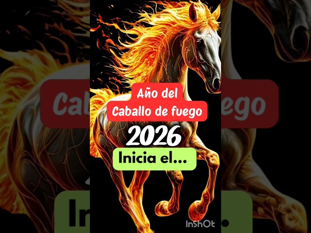 Vídeo relacionado con Año Nuevo Chino 2026 Caballo Feliz Año Nuevo Chino 2026 Camiseta