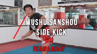 WUSHU  How to do a proper Side Kick  Team Lakay In