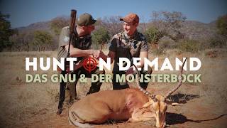 Das Gnu und der Monsterbock 🇳🇦 @ana_namibia