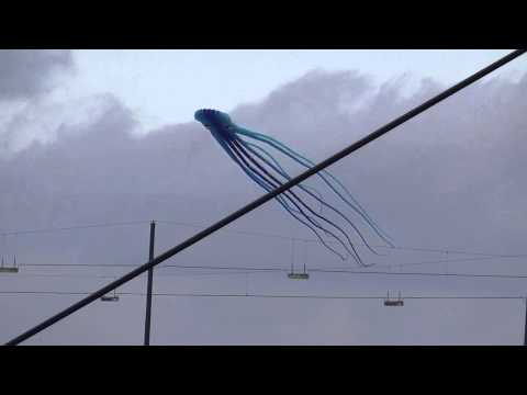 Giant alien octopus invasion of the river side