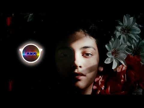 Guustavv - Always What It Seems