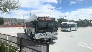 Double VTA bus horn action ￼77 26 522