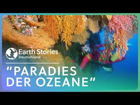 XXL-Doku: Schätze der Unterwasserwelt