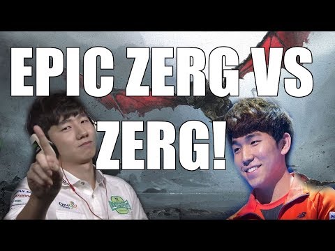 INCREDIBLE ZERG VS ZERG! | Battle of Champions - Dark vs Rogue