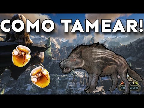 COMO TAMEAR Andrewsarchus // ARK: Survival Evolved// GUIA