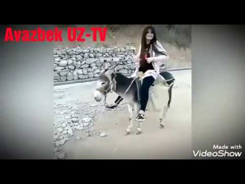 Uz prikollar 2019 Уз приколар 2019