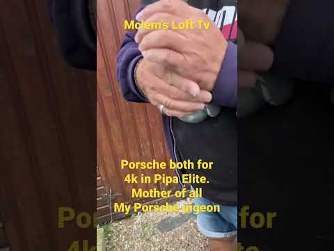 Porsche bought 4k in Pipa Elite. Subscribe for more video. Next 2 drapa kittel 👐🕊