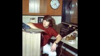 Brian Wilson - Little Saint Nick