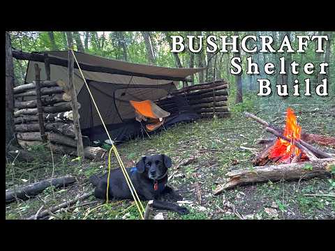 BUSHCRAFT SHELTER Build | Autumn Bushcraft Camping with my Dog
