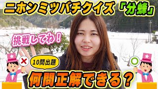 あなたは何問正解できる！？ニホンミツバチ分蜂捕獲の基礎知識10問！
