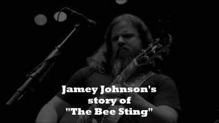 Jamey Johnson   The Bee Sting