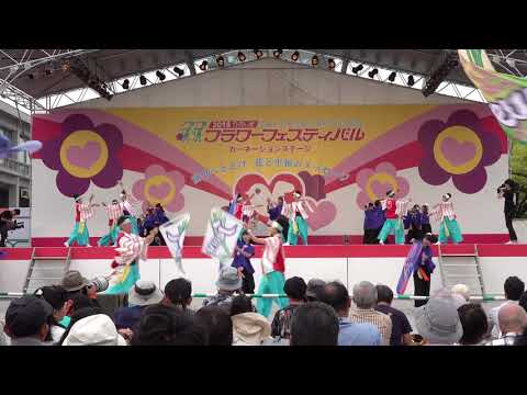 TEAM輪音天咲withHIKAWA Jeune きんさいよさこい2018カーネーション会場2018 5 5