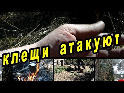 За березовым соком.Клещи атакуют.Землянка.   Ticks attack