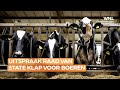 Nieuwe klap voor boeren na uitspraak RvS: 'Dat betekent niet dat je niet kunt innoveren'