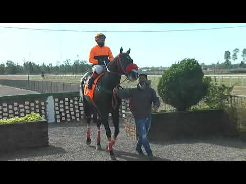 CARRERAS  SINT FLORIDA  210603 c04 1° ZENZERO (BRZ)