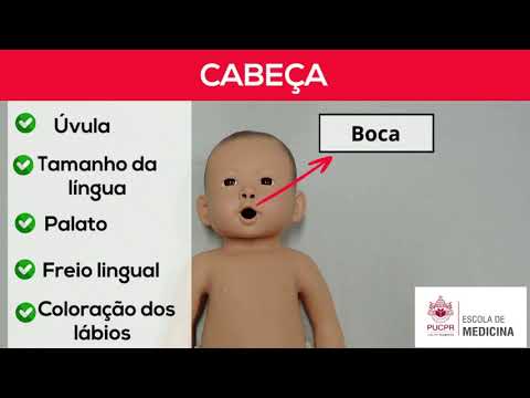 Abordagem da Puericultura na APS