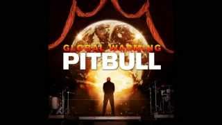 Pitbull ft Akon &amp; David Rush - Everybody Fucks Video HD