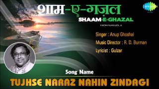 Tujhse Naraz Nahin Zindagi | Shaam-E-Ghazal | Masoom | Anup Ghoshal