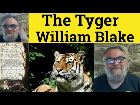 🔵The Tyger by William Blake Analysis - The Tyger William Blake Explanation - The Tyger Summary Blake
