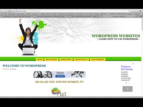 WordPress Search Engine Optimization