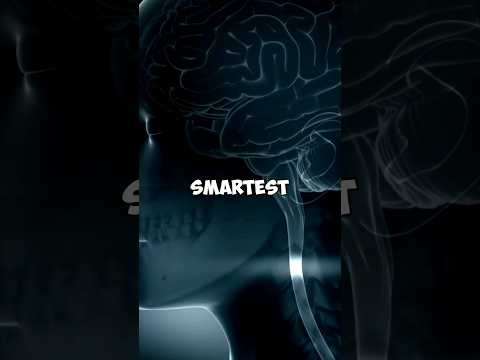 The Smartest Person Ever with Over 200 IQ