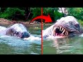 Terrifying Swamp Creatures That Got Caught On Camera