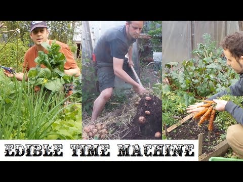 , title : 'Learn Kitchen Gardening: From Spring Potatoes to Winter Beets and Carrots'