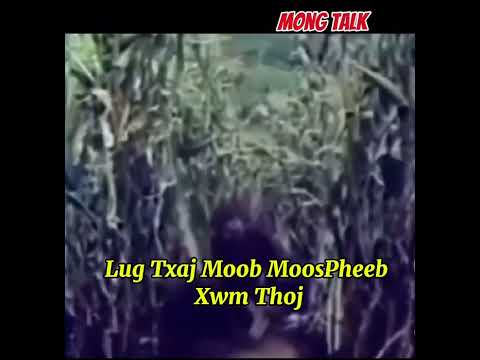 Lug Txaj Moob MoosPheeb