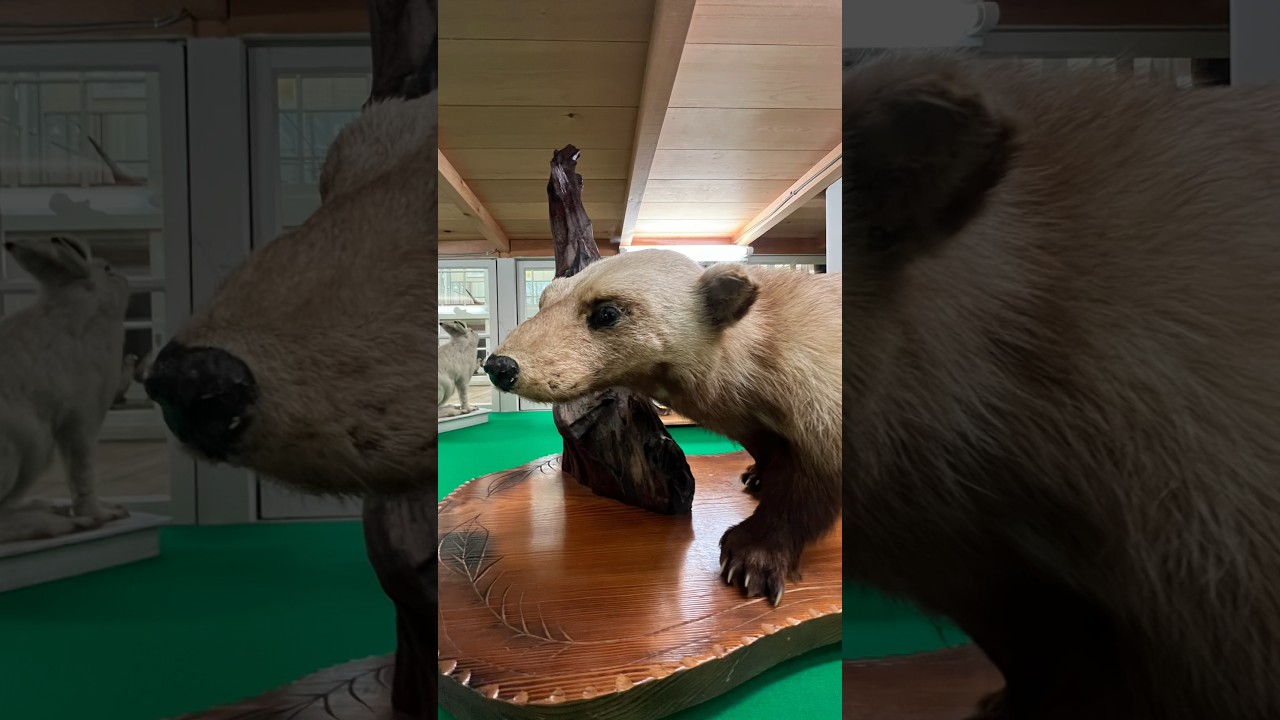 YouTube Short thumbnail