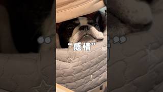 感情