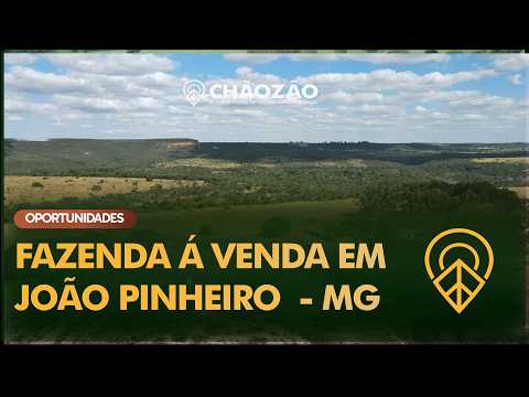 FAZENDA EM JOÃO PINHEIRO - MG